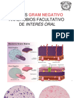 Seminario Gram Negativos