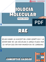 RAE - Biologia Molecular
