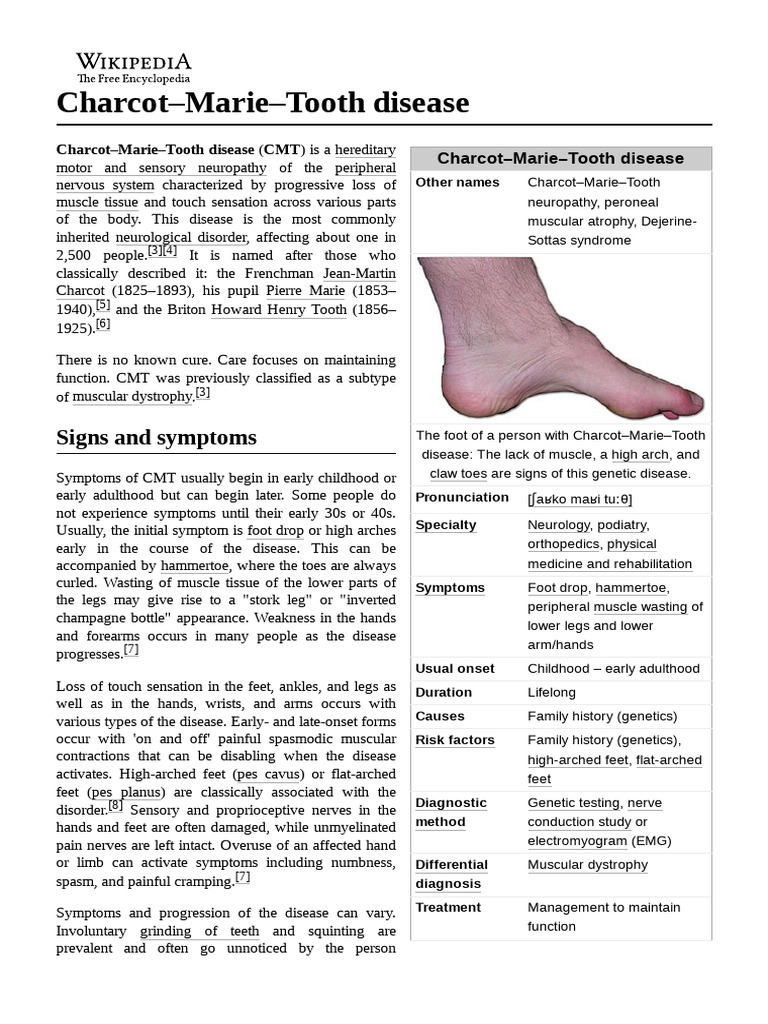 Charcot Marie Tooth - Disease | PDF | Translation (Biology) | Clinical ...