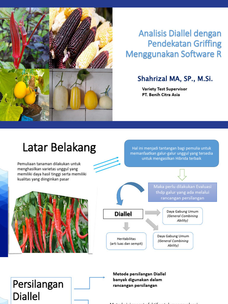 Analisis Diallel Metode Griffing | PDF