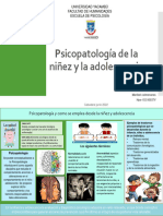 Infografia de Psicopatologia de La Niñez y Adolesc