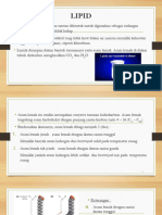 Materi Lipid PDF