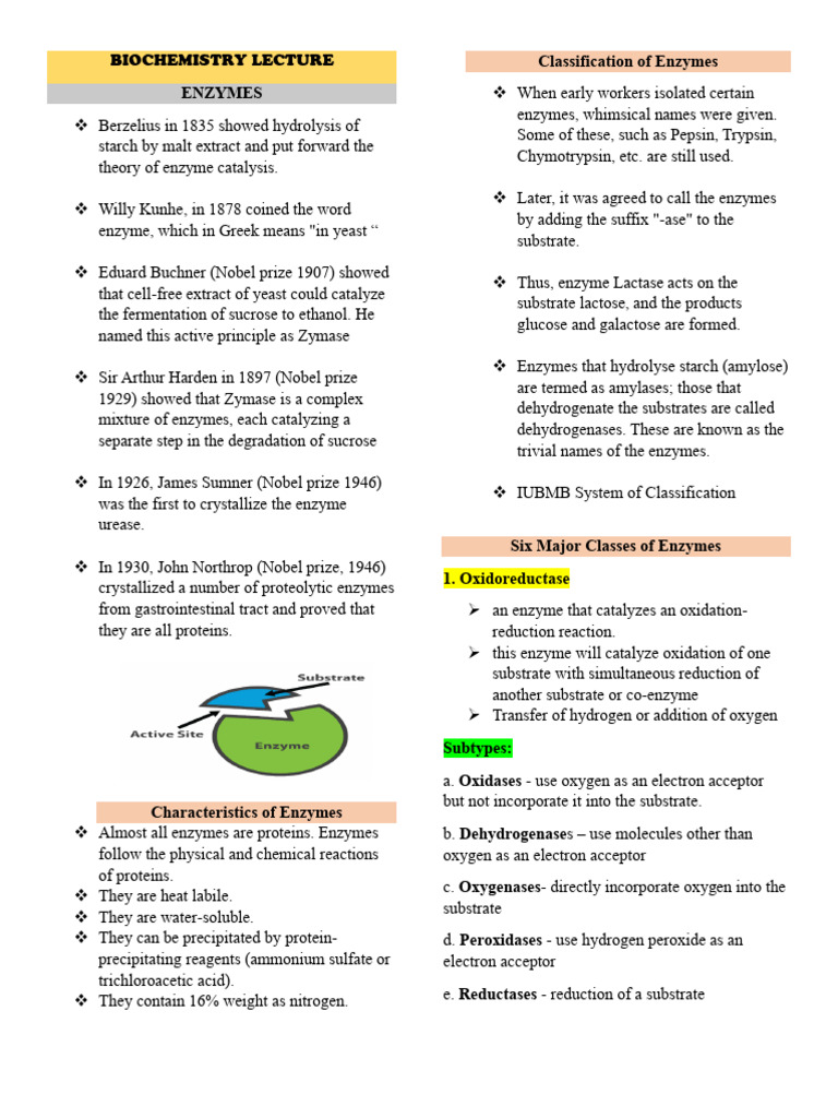 Enzyme Overview: Functions and Classification | PDF | Enzyme | Enzyme ...