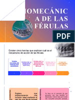 Biomecánica de Las Férulas