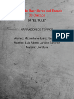 Literatura Proyecto Final Por Maximiliano Juarez Saavedra