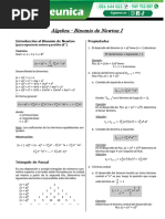 Binomio de Newton I Geunica Letras Tarde