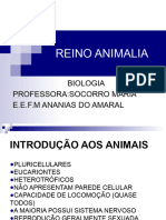 Reino Animalia Ou Metazoa