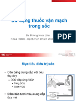 File - hn2015 - S113 Phung Nam Lam
