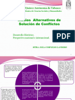 Desarrollo Historico y Perspectiva Nacional e Internacional