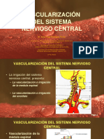 7 Irrigación SNC