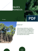 Los Bosques Mediterraneos