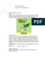 Taller de Mecanismos de Fuentes Energia MVZ G2