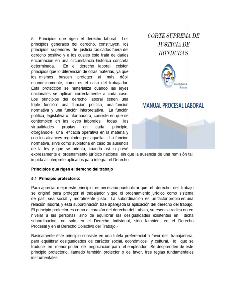 Principios del Derecho Laboral | PDF | Derecho laboral | Ley procesal