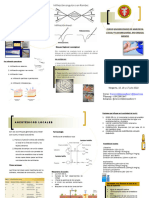 Triptico Curso de Anestesia Local y Locoregional en Cirugia Menor