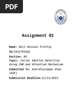 NSU - CSE465 - Project Analysis