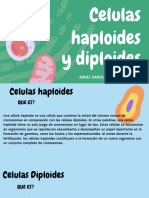 Celulas Haploides y Células