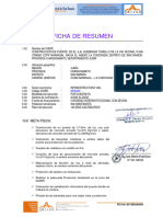 009-2020-22-01 FICHA DE RESUMEN - PUENTE TIGRILLO (Reparado)