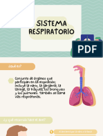 Sistema Respiratorio - 20231113 - 230347 - 0000