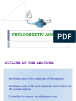 Phylogenetic Analysis1