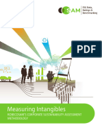 Measuring Intangibles Csa-Methodology