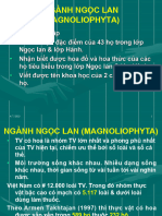 Nganh NL-PL1-6