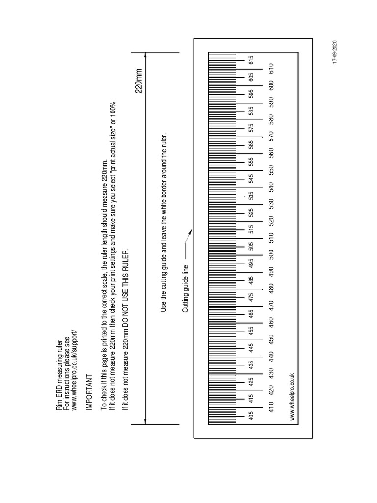 Rim Erd Ruler2 PDF