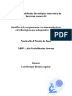 Reporte Practica 3 Tincion de Gram 3 D2 BVL