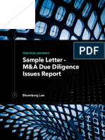 Sample MA Due Diligence Issues Report