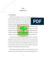 Bab 1 PDF