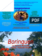 Borinquen_PPS_Sylvette 2007 (A Puerto Rico)