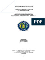 Makalah Kemuhammadiyahan Pengaruh Penjajahan Terhadap Islam Di Nusantara