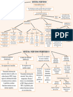 Mapa Conceptual Del Sistema Nervioso 3