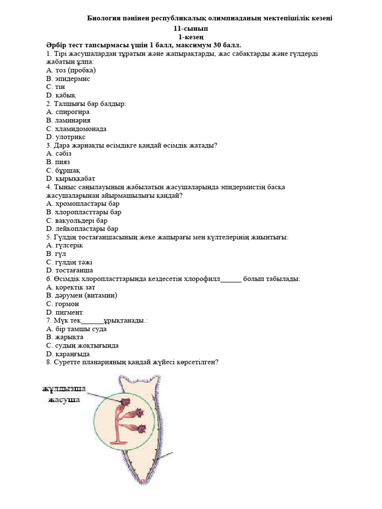 Смотреть порно секс с кентаврлар мультфильм онлайн