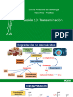 Sesion 11 - Transaminacion - Odontologia TGO-TGP