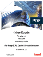 Certificate of Completion - Safety Manager SC R213Describe PUIO Module Enhancement