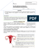 6°-básico-Ciencias-Naturales-Guía SEXUALIDAD