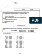 Taller Sistema Digestivo