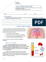 Guía 6 Sistema Circulatorio