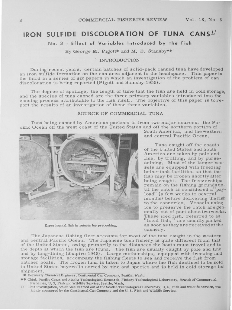Iron Sulfide Discoloration of Tuna Cans PDF Tuna Fish And Humans