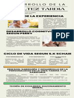 Infografia de La Adultez Tardia