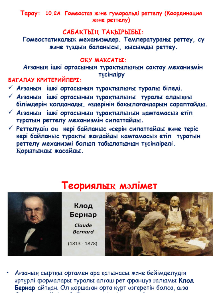 Тек үлкен фотолар