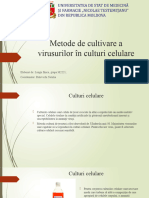 Virusii in Cultuir Celulare