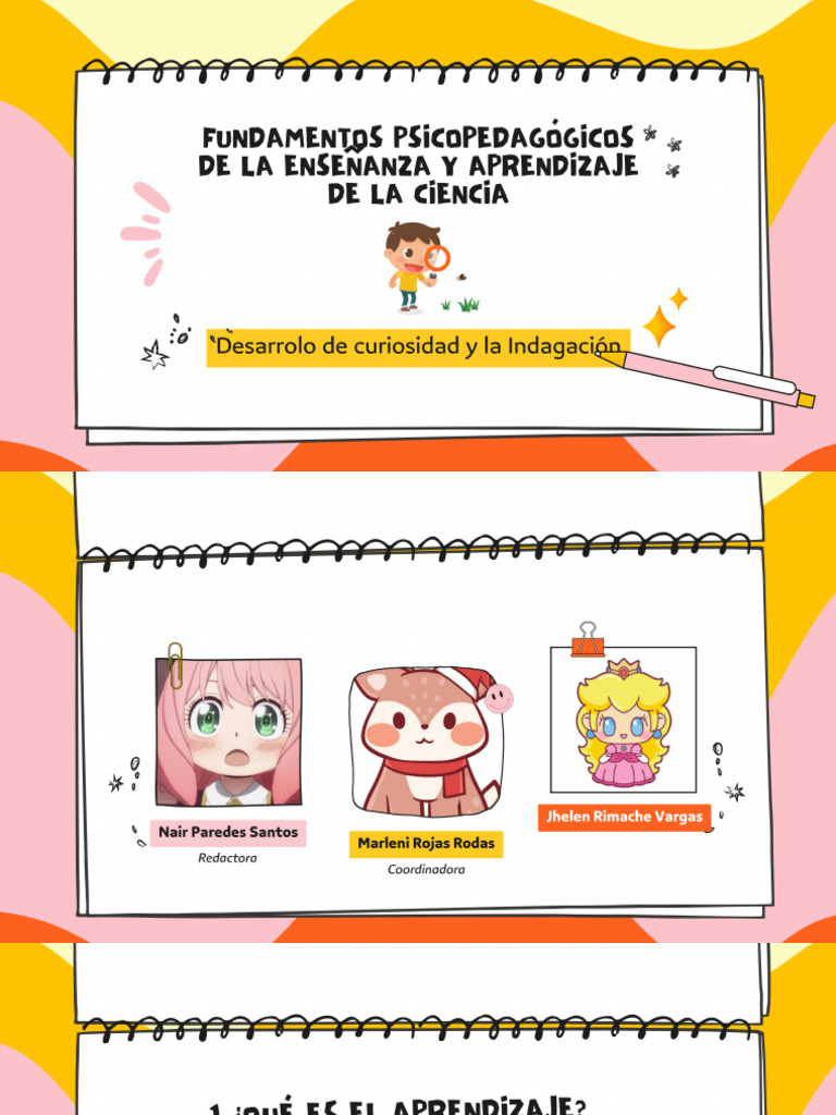 Fundamentos Psicopedagógicos de La Enseñanza y Aprendizaje de La ...