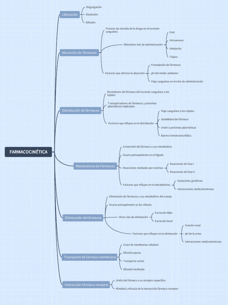 Flujograma De Los Procesos De La Farmacocinetica Pdf Medicamentos