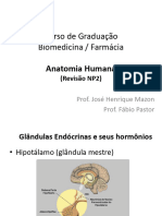 Anatomia (Revisão NP2)