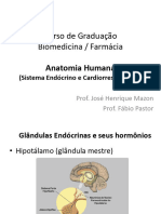 Anatomia (Aula 5)