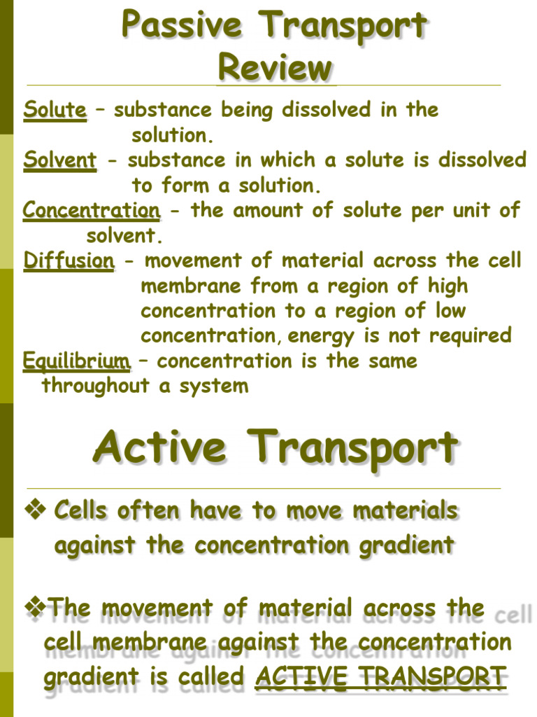 Passiv Transport PDF Cell Membrane Cell Biology