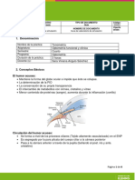 Modelo de Guía Laboratorio-Tonometría