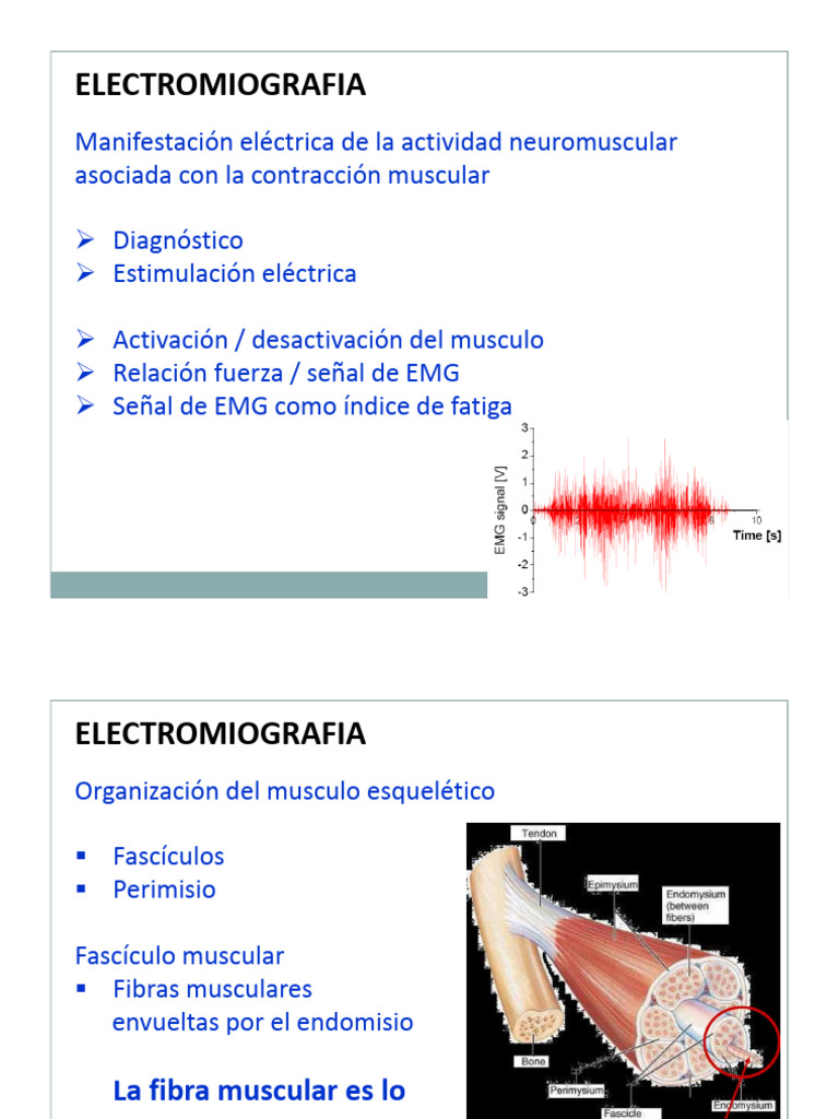 Fundamentos de Electromiografía y EMG | PDF | Electromiografia ...
