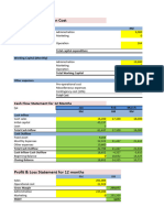 Financial Template Guideline